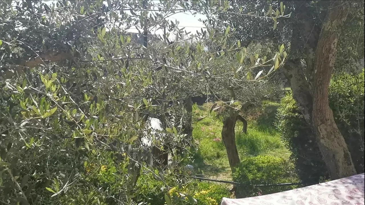 Holiday home Tular Appartaments Italy